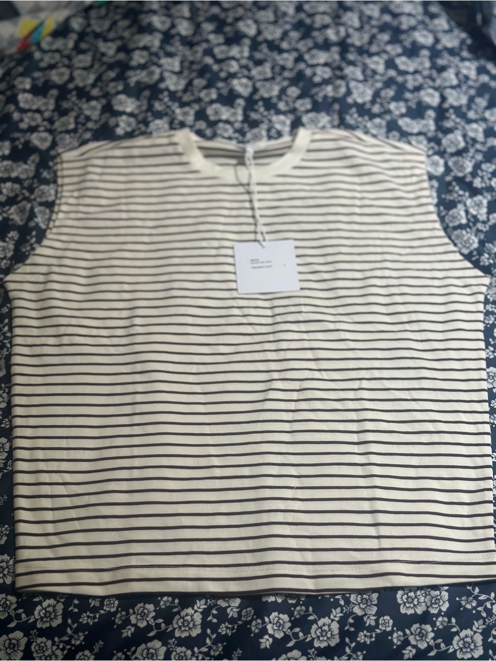 Pistola Striped Sleeveless Knit Top in Ivory and Chestnut